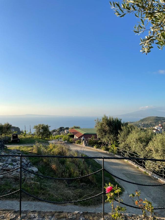 Loren House, Relaxing Location With Seaview Massa Lubrense Exterior photo